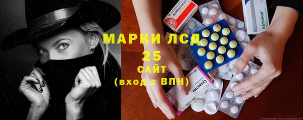 крисы Бугульма