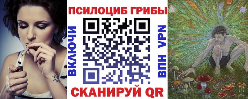 Купить где Далматово Псилоцибиновые грибы Cubensis