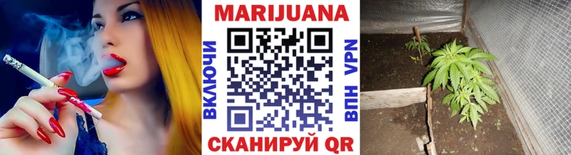 Купить  Далматово  Бошки марихуана тримм 